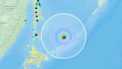 Два землетрясения зарегистрировали недалеко от Южных Курил днем 7 августа