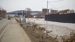 В Южно-Сахалинске обследуют зеленые насаждения после зимы