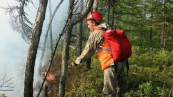 Лесные пожары угрожают двум центральным районам Сахалина