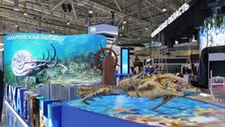 Сахалин представит морской павильон с VR-технологиями на выставке «Россия» в Москве