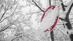 Снег, ветер до 22 м/c и мороз: погода в Сахалинской области на 1 января