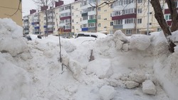 Сотрудники ЖЭУ-3 снесли деревья при уборке снега во дворе Южно-Сахалинска