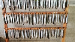 Рыбаки показали, как должна выглядеть новогодняя сахалинская гирлянда
