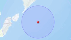 Два землетрясения магнитудой больше 4 произошло за сутки у берегов Курил 