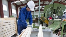 «Евразлес» создаст на Сахалине современное лесоперерабатывающее предприятие