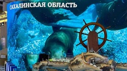 Срок работы выставки «Россия» продлят до 8 июля