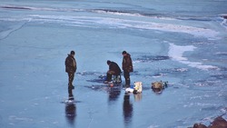 «Гуляет лед»: в Охотском море взломало припай