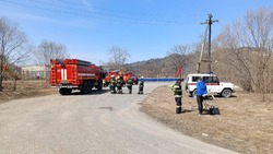 Учения по реагированию на лесные пожары прошли в Анивском районе