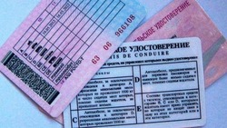 Житель Невельского района ответит в суде за вождение с поддельными правами