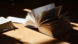 Список претендентов на престижную литературную премию объявили на форуме «ProДФО»