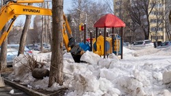 Управляющие компании Южно-Сахалинска активно включились в генеральную уборку города после зимы