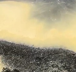 Аномально желтая вода в море перепугала жителей Томари — ВИДЕО