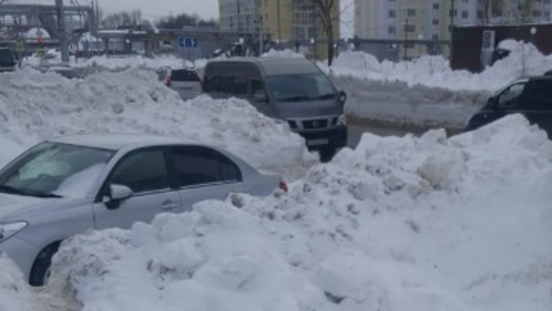«Козьи» тропы и «соседство» с автомобилями пугают жителей Южно-Сахалинска