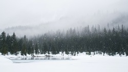 Погода в Южно-Сахалинске 25 января: сильный снег, туман и ветер 