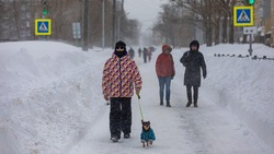 Южно-Сахалинск оживает после сильной метели: фоторепортаж