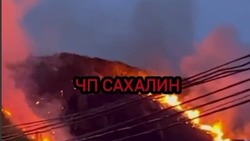 «Уже лесов коснулось!»: очевидцы рассказали о масштабном пожаре в Невельске