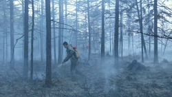 МЧС объявило 4-й класс пожарной опасности в Смирныховском районе