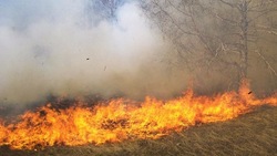Сухая трава горела на площади 250 квадратных метров в селе Углегорского района 