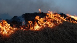 Житель Сахалина заплатит штраф за пожар в лесу из-за непотушенного окурка