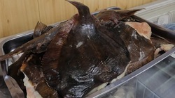 Три вида свежемороженой рыбы по социальным ценам доставили в Холмск 21 ноября 