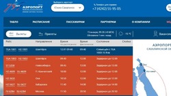 Почти все рейсы в аэропорту Южно-Сахалинска перенесли из-за непогоды 15 января