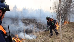В минувшие сутки на 16 гектарах горела сухая трава в Углегорском районе