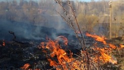 Сухая трава вспыхнула в Тымовском 23 апреля