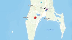 Землетрясение магнитудой 2,5 зарегистрировали на Сахалине утром 10 сентября
