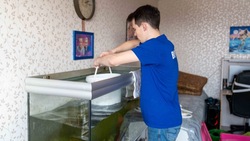 Жене мобилизованного очистили большой аквариум в Южно-Сахалинске