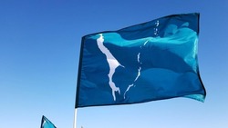 Депутат Госдумы от Сахалина поздравил островитян с Днем регионального флага