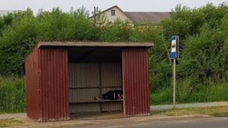 Первый посетитель уснул в новом остановочном павильоне в Углегорске