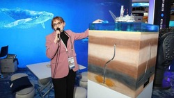 Уникальные технологии освоения шельфа Сахалина представили на выставке «Россия»