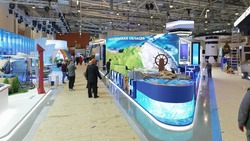 Сахалинская область представит ключевые предприятия и инвестпроекты на ВДНХ