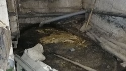 Фекалиями затопило подвал одного из домов в Южно-Сахалинске
