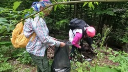Сахалинские журналисты убрали мусор с экотропы «Северное кольцо» 