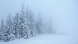 Сильный снег и метель обрушатся на Северные Курилы 