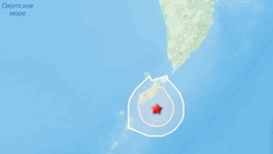 Землетрясение магнитудой 4,4 зарегистрировали на Северных Курилах 1 сентября