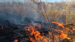 Пожарные потушили четыре возгорания сухой травы в двух районах Сахалина 