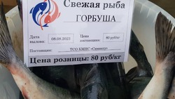 Свежую горбушу по доступным ценам привезли в 4 района Сахалинской области 9 августа