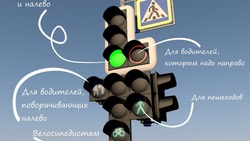 Василий Вишневский предложил «идеальный светофор» для Южно-Сахалинска