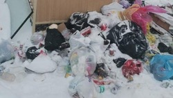SKR-SOS: мусор во дворах раздражает жителей Южно-Сахалинска