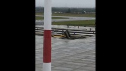 Экскаватор упал на стройплощадке в аэропорту Южно-Сахалинска