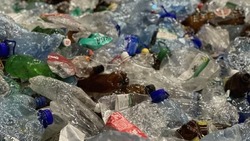 «Простое правило»: сжатые пластиковые бутылки уменьшат количество выхлопных газов 