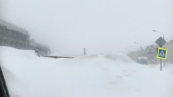 Сильный снег и штормовой ветер: уточнен прогноз в Сахалинской области на 24 января 