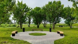 Байдаков посоветовал добавить газоны в анивском сквере «Грушевый сад»