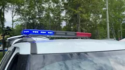 Полицейские раскрыли дело об угоне в Долинском районе 