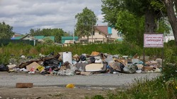 С незаконных свалок областного центра вывезли более 240 самосвалов мусора