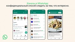 WhatsApp запустит каналы по интересам летом 2023 года