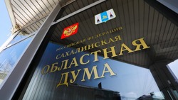 Депутаты на Сахалине поддержали коллег из Новосибирска