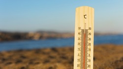 Эксперты предупредили о рекордной жаре в 2024 году